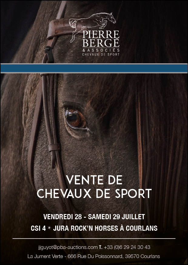 Vente aux enchères - Pierre Bergé - Rock'n horses